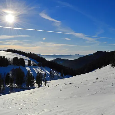 בית נופש Haus Findling, 10 Personen, Schluchsee, Hochschwarzwaldkarte שלוכזי