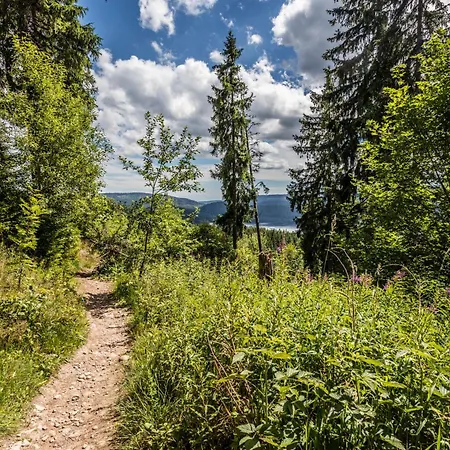 Haus Findling, 10 Personen, Schluchsee, Hochschwarzwaldkarte Holiday home