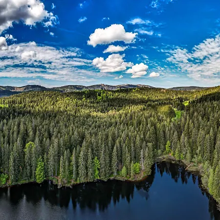 בית נופש Haus Findling, 10 Personen, Schluchsee, Hochschwarzwaldkarte