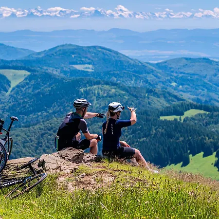 Haus Findling, 10 Personen, Schluchsee, Hochschwarzwaldkarte בית נופש *